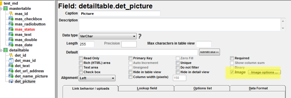 appGini_fielddetails.png