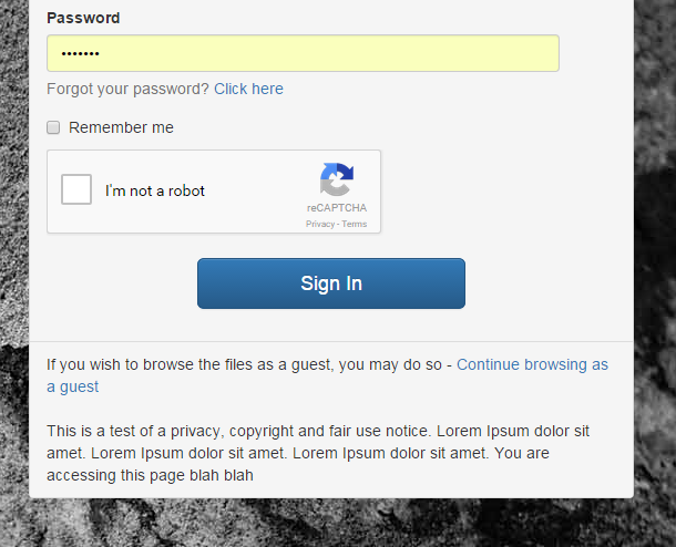 recaptcha.PNG