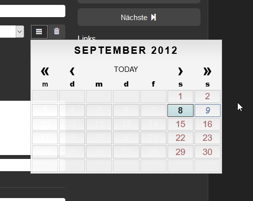 AppGiniKalender_Bug.png