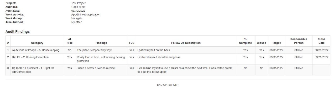 audit-screen.JPG