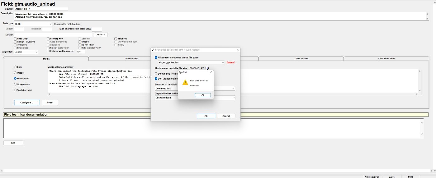 runtime error.jpg