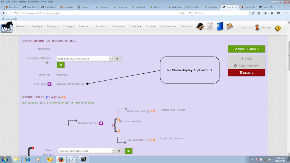 Equibasebootstrap AppGini 5.62 no photo 1.png
