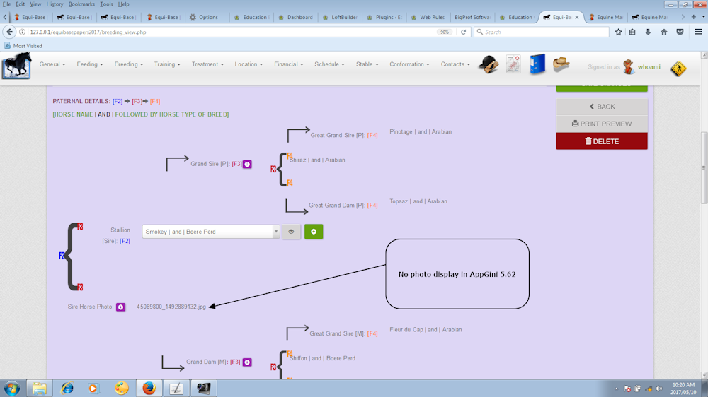 Equibasebootstrap AppGini 5.62 no photo 2.png