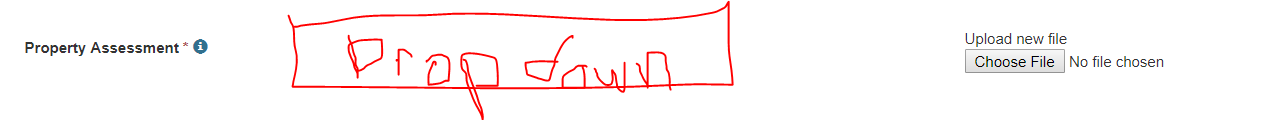 Horizontal - Dropdown + Upload - Same Line.PNG